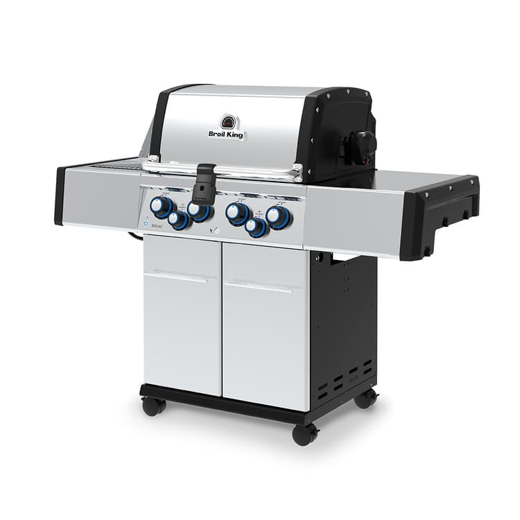 REGAL™ S 490 IR